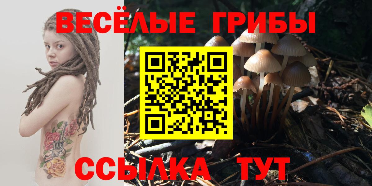 Верхняя Салда  Галлюциногенные грибы Cubensis  Вход с VPN  Псилоцибиновые грибы прущие грибы 